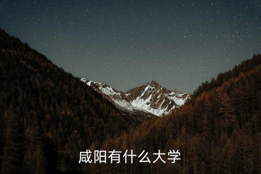 咸陽(yáng)有什么大學(xué)