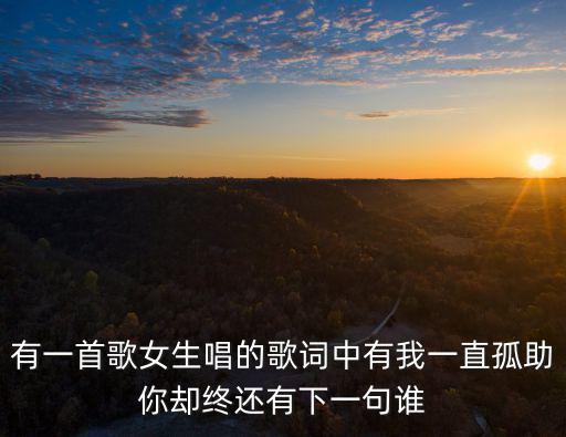 有一首歌女生唱的歌詞中有我一直孤助你卻終還有下一句誰