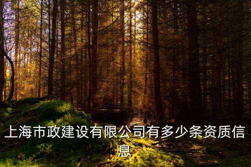 上海市政建設有限公司有多少條資質信息