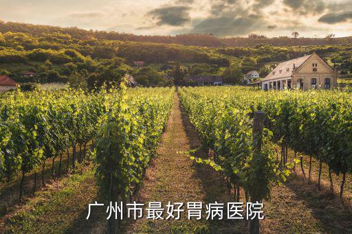 廣州市最好胃病醫院