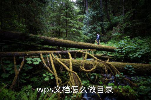 wps文檔怎么做目錄