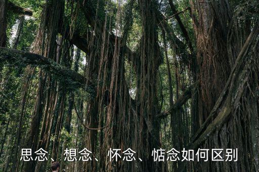 思念、想念、懷念、惦念如何區別