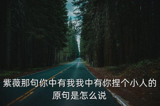 你還有我，紫薇那句你中有我我中有你捏個小人的原句是怎么說