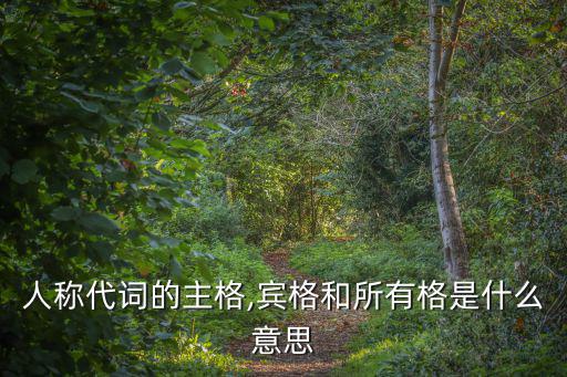 人稱代詞主格,英語主格在動(dòng)詞前面賓格在介詞后面