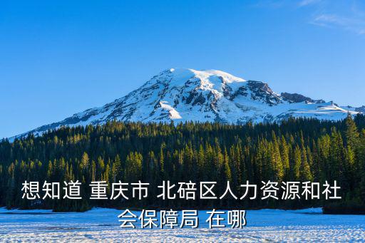 想知道 重慶市 北碚區人力資源和社會保障局 在哪