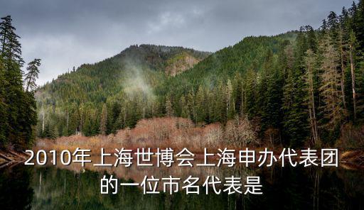 2010年上海世博會上海申辦代表團(tuán)的一位市名代表是