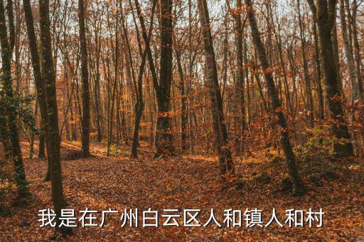 我是在廣州白云區人和鎮人和村