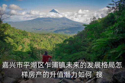 嘉興市平湖區(qū)乍浦鎮(zhèn)未來的發(fā)展格局怎樣房產(chǎn)的升值潛力如何  搜
