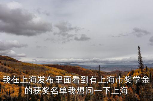 我在上海發(fā)布里面看到有上海市獎學(xué)金的獲獎名單我想問一下上海