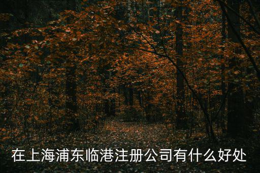 在上海浦東臨港注冊公司有什么好處