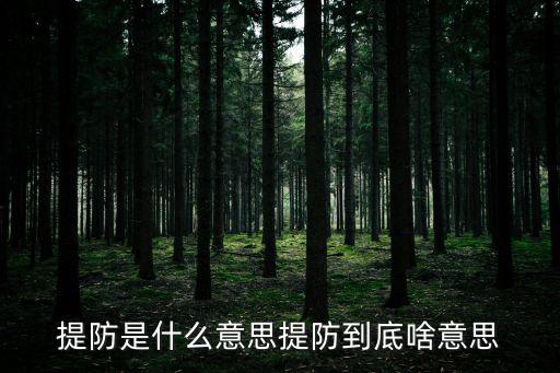 提防是什么意思提防到底啥意思