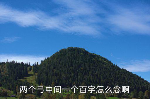 兩個弓中間一個百字怎么念啊
