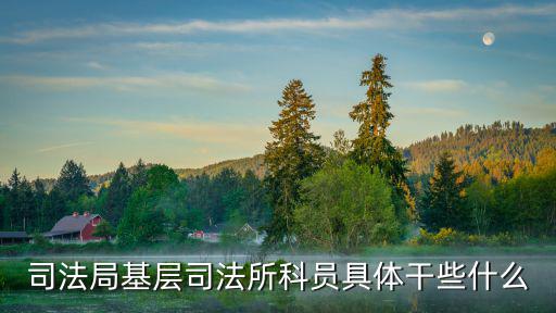 上海市徐匯區司法局華涇司法所，司法局基層司法所科員具體干些什么