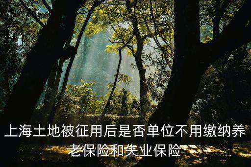 上海市征用集體土地，上海土地被征用后是否單位不用繳納養(yǎng)老保險(xiǎn)和失業(yè)保險(xiǎn)