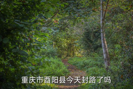 重慶市酉陽(yáng)縣今天封路了嗎