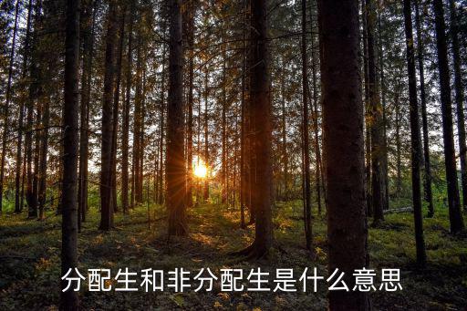 分配生是什么意思,中考分配生是什么意思?