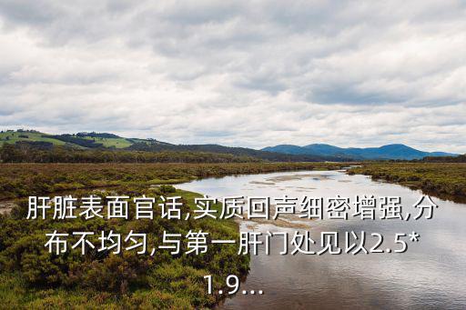 肝臟表面官話,實質回聲細密增強,分布不均勻,與第一肝門處見以2.5*1.9...