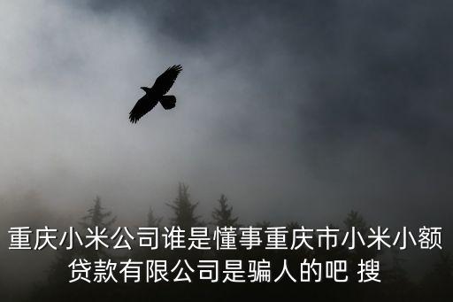 重慶小米公司誰是懂事重慶市小米小額貸款有限公司是騙人的吧 搜