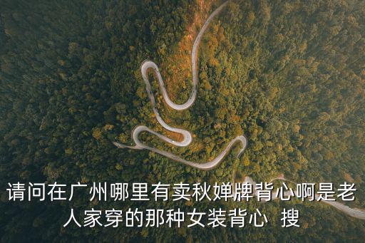 請(qǐng)問在廣州哪里有賣秋嬋牌背心啊是老人家穿的那種女裝背心  搜