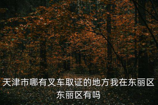 天津市哪有叉車取證的地方我在東麗區東麗區有嗎