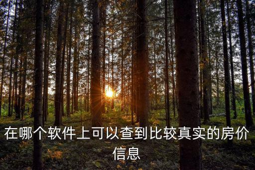 在哪個軟件上可以查到比較真實的房價信息