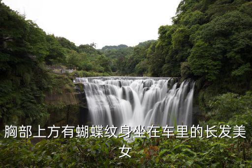 胸部上方有蝴蝶紋身坐在車里的長發美女