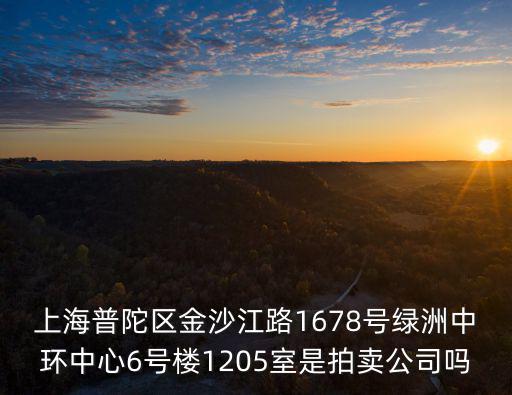 上海普陀區金沙江路1678號綠洲中環中心6號樓1205室是拍賣公司嗎