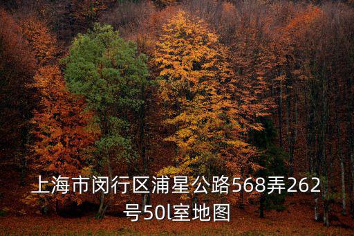 上海市閔行區浦星公路568弄262號50l室地圖