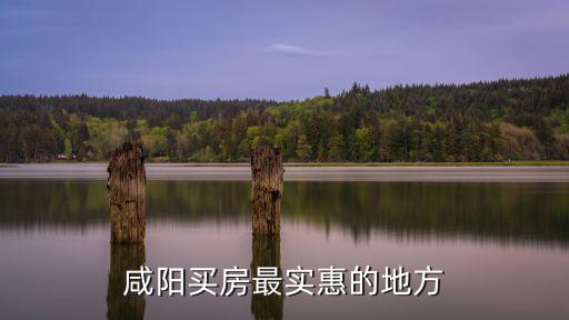 咸陽(yáng)哪個(gè)地段房?jī)r(jià)貴，咸陽(yáng)買房最實(shí)惠的地方