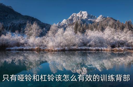 只有啞鈴和杠鈴該怎么有效的訓練背部