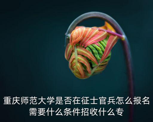 重慶師范大學是否在征士官兵怎么報名需要什么條件招收什么專