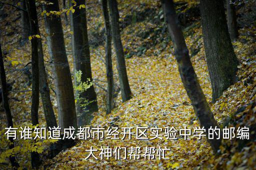 有誰知道成都市經開區實驗中學的郵編大神們幫幫忙