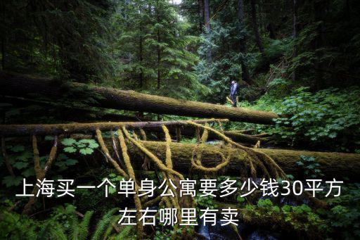 上海買一個(gè)單身公寓要多少錢30平方左右哪里有賣