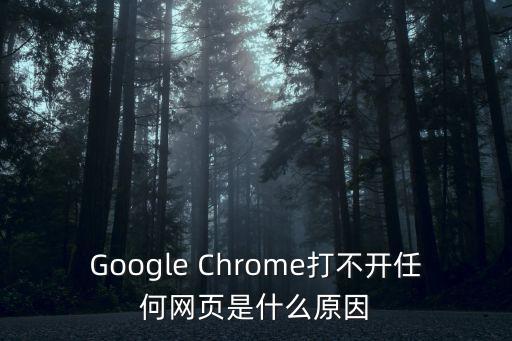 谷歌瀏覽器用不了，Google Chrome打不開任何網頁是什么原因