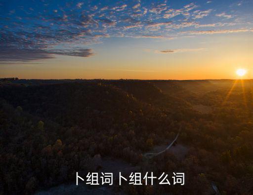 卜組詞卜組什么詞