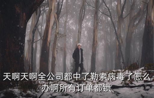 天啊天啊全公司都中了勒索病毒了怎么辦啊所有訂單都鎖