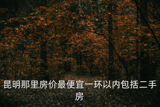 昆明那里房價最便宜一環以內包括二手房