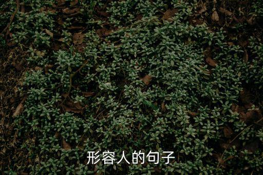 形容人的句子，形容人的句子
