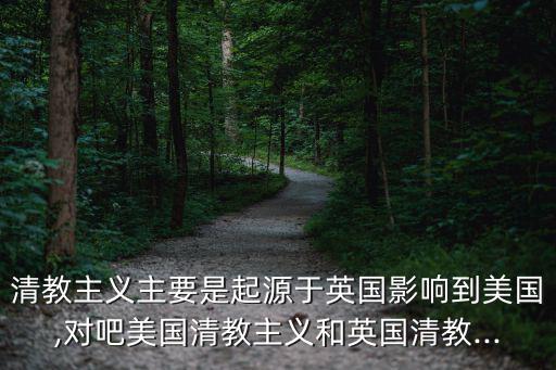 清教主義,清教主義與美國反對國王專權之爭