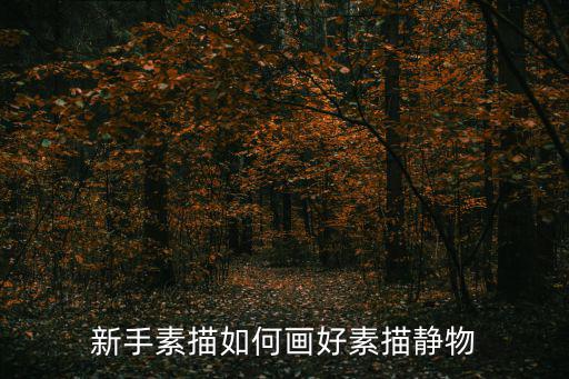 新手素描如何畫好素描靜物