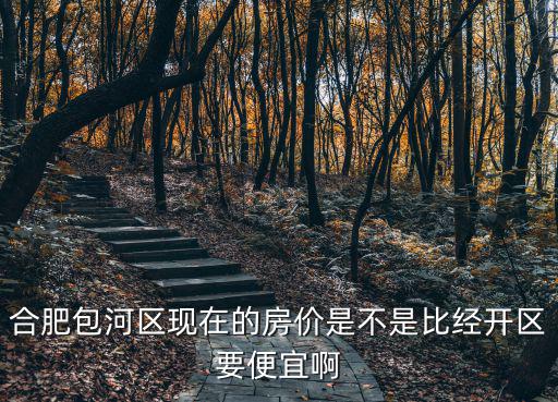 合肥包河區現在的房價是不是比經開區要便宜啊