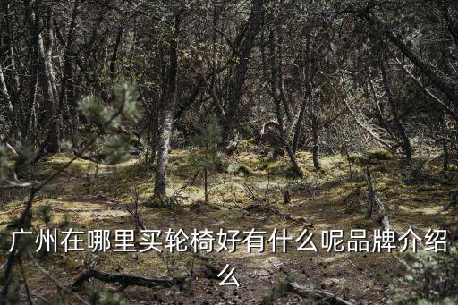 廣州在哪里買輪椅好有什么呢品牌介紹么