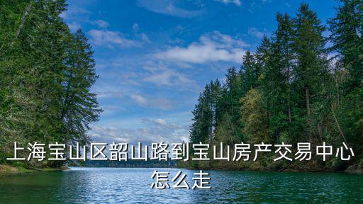 上海寶山區(qū)韶山路到寶山房產交易中心怎么走