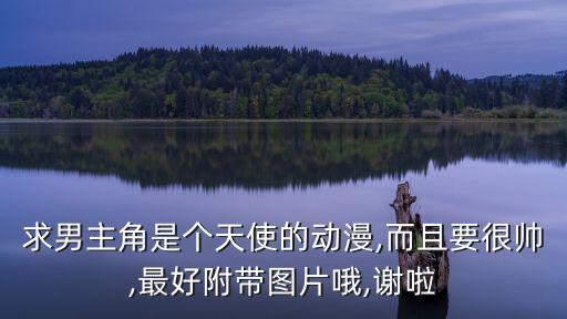 求男主角是個天使的動漫,而且要很帥,最好附帶圖片哦,謝啦