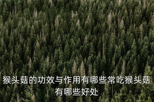猴頭菇的功效與作用有哪些常吃猴頭菇有哪些好處