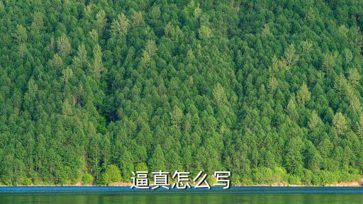 逼真怎么寫