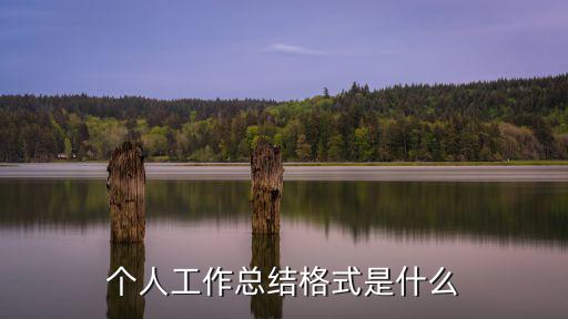 個人工作總結格式是什么