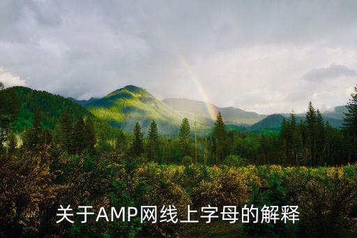 amp網線,安普網線規格表