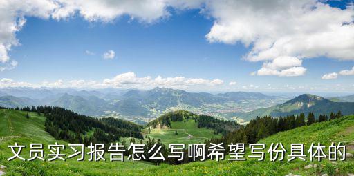 文員實習報告怎么寫啊希望寫份具體的
