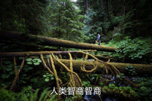 人類智商智商